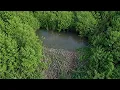 We Found a Huge Beaver Dam Blocking an Abandoned Drainage Canal