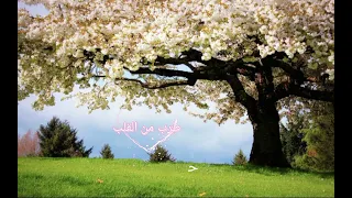 جورج وسوف حال الجريح مع الكلمات 