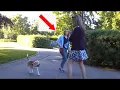 T-Girl and a REAL Girl - what could go wrong transvestite t-girl transgender