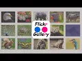 Flickr Album Gallery Pro Premium WordPress Plugin How to Install Flickr Album Gallery in WordPress