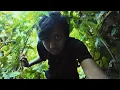Download Lagu Sangkut dalam Hutan atas Gunung di Sarawak!