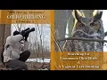 Birding Ohio 2026 - Searching for Rare Ohio Birds A Vagrant Lark Bunting Episode 3
