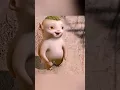 Download Lagu Best scene Monster Hunt🙂 cute monster.#shorts #monsterhunter