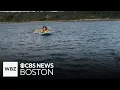 Download Lagu Great white shark spotted next to paddleboarders off Cape Cod beach