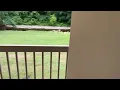 Quality Inn - Jacuzzi Suite Room Tour