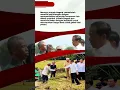 Download Lagu Presiden Jokowi Minta Badan Pangan Nasional Hitung Harga Gabah Kering Petani