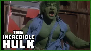 hulk befriends troubled woman season 1 episode 14 the incredible hulk