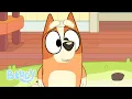Download Lagu Make Mum Laugh | BONUS BIT | Bluey