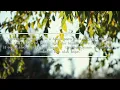 Tom Harrell   Alternate Summer | Album Preview