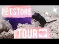 Pet Supplies Plus Pet Supply Store Tour