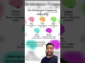 Download Lagu Brainwave frequencies #brainwaves #psychology