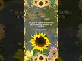 Download Lagu Affirmations: Book 1 - Celebration