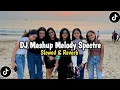 Download Lagu DJ Mashup Melody Spectre V1 (Slow Reverb)
