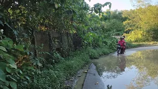                         دندنها