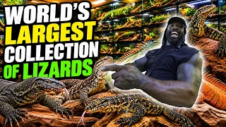 FLORIDAS LARGEST COLLECTION OF LIZARDS 