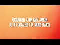 Shakira - Bare Feet, White Dreams (Lyrics)