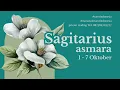 Download Lagu SAGITARIUS 🏞LAGI EMOSIAN, PASTINYA CARI PERKARA🏞 Mari Tarot #tarotindonesia #tarot #sagitarius 
