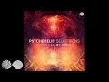Download Lagu Vini Vici \u0026 Astrix - Adhana