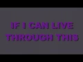 Download Lagu Fall Out Boy - Champion (Lyrics)
