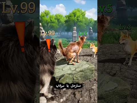 طردني الملك لكنني عدت أقوى للانتقام!🐺 😱🔥