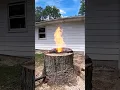 Download Lagu The best way to remove tree stumps 🌲#shorts