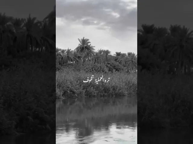 ⁣الإمام علي (عليه السلام)يحذر الإنسان الذي أنعم الله عليه من نعمه وهو يعصيه | د.احمد الوائلي