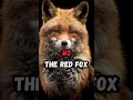 Download Lagu Top 3 Creepiest Animal Sounds #shorts