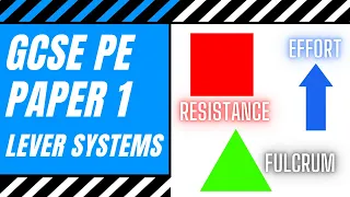 AQA GCSE PE First Second and Third Class Lever Systems Mechanical Advantage Movement Analysis