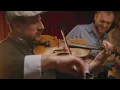 Punch Brothers - Cattle in the Cane