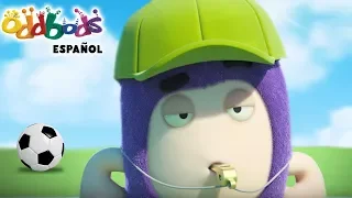 Oddbods Futbol Con Reglas Australianas Dibujos Animados Graciosos Para Niños 