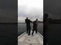 how many bass can you count win this clip - rig