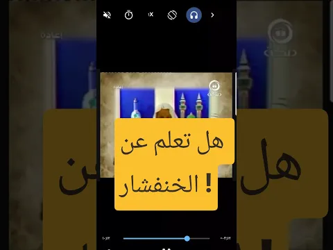 الخنفشار من أين جاءت