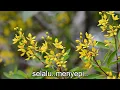 Download Lagu Kemuning - Widyawati + lirik Download Lagu Kemuning - Widyawati + lirik