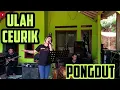 ULAH CEURIK || PONGDUT BAJIDOR || CINEUR GDOR || EDISI LATIHAN