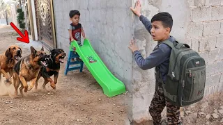 الكلاب تهجم ع الولد اخر لحضه وصلت بداية المدرسه ⁉😳