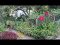 The Astrology of August 11 2026 Mars enters Cancer while Venus Mercury fill the Basket