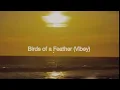 Download Lagu Birds of a Feather (Vibey) - Official Audio - Sunset Party