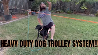 A Dog Owners Must Have
