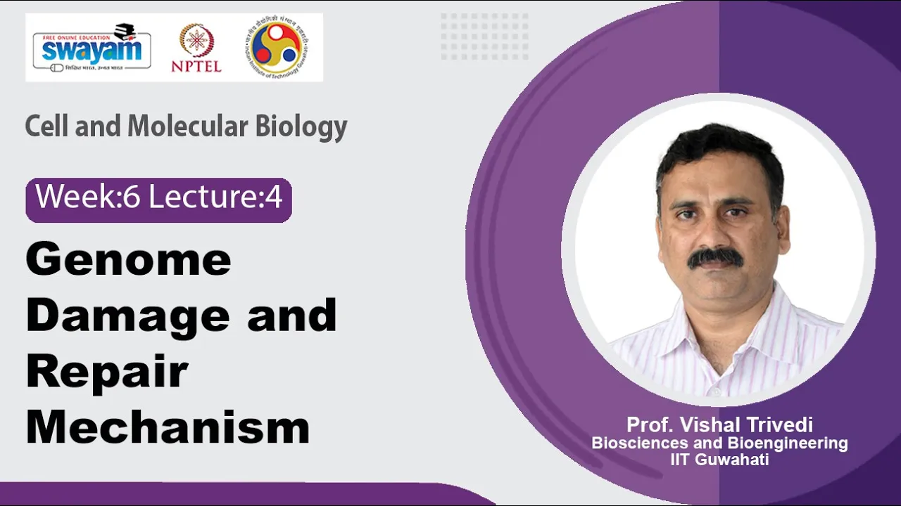 Lec 24: Genome Damage and Repair Mechanism