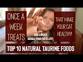 Top 10 Natural Taurine Rich Human Foods that Heal Your Cat