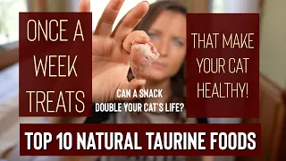 Top 10 Natural Taurine Rich Human Foods that Heal Your Cat