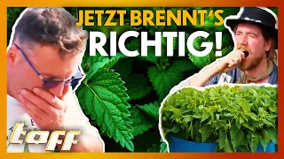 Die durchgeknallteste WM der Welt?! Diese Briten essen BRENNESSELN um die Wette