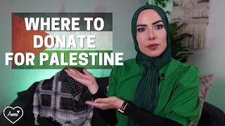 Where to Donate for Palestine Help Civilians Children