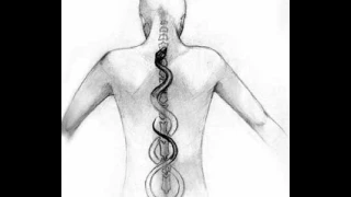 noahs kundalini sons