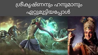  krishna and hanuman