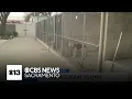 Independent study finds Sacramento s Front Street Animal Shelter is at its limit