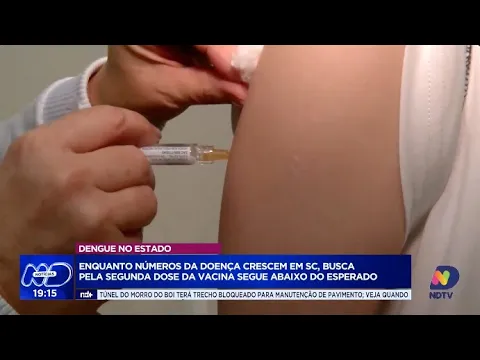 Santa Catarina registra mais de 264 mil casos de dengue em 2024