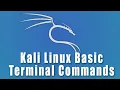 Kali Linux Basic Terminal Commands Linux Fundamentals for Ethical Hacking