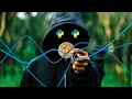 TRACK THE WHOLE CRYPTOMARKET WITH PYTHON must watch