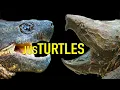Download Lagu The Day a Snapping Turtle Finally Bit Me… and a Dinosaur is Found in the Wrong State